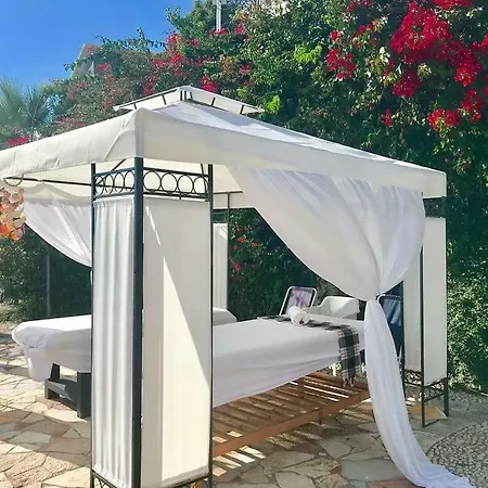 Luxury Diva Bougainville