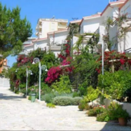 Luxury Diva Bougainville *